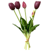Bouquet of purple tulips with green leaves on a white background