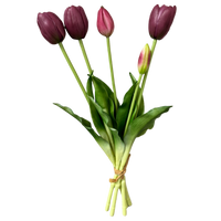 Bouquet of purple tulips with green leaves on a white background