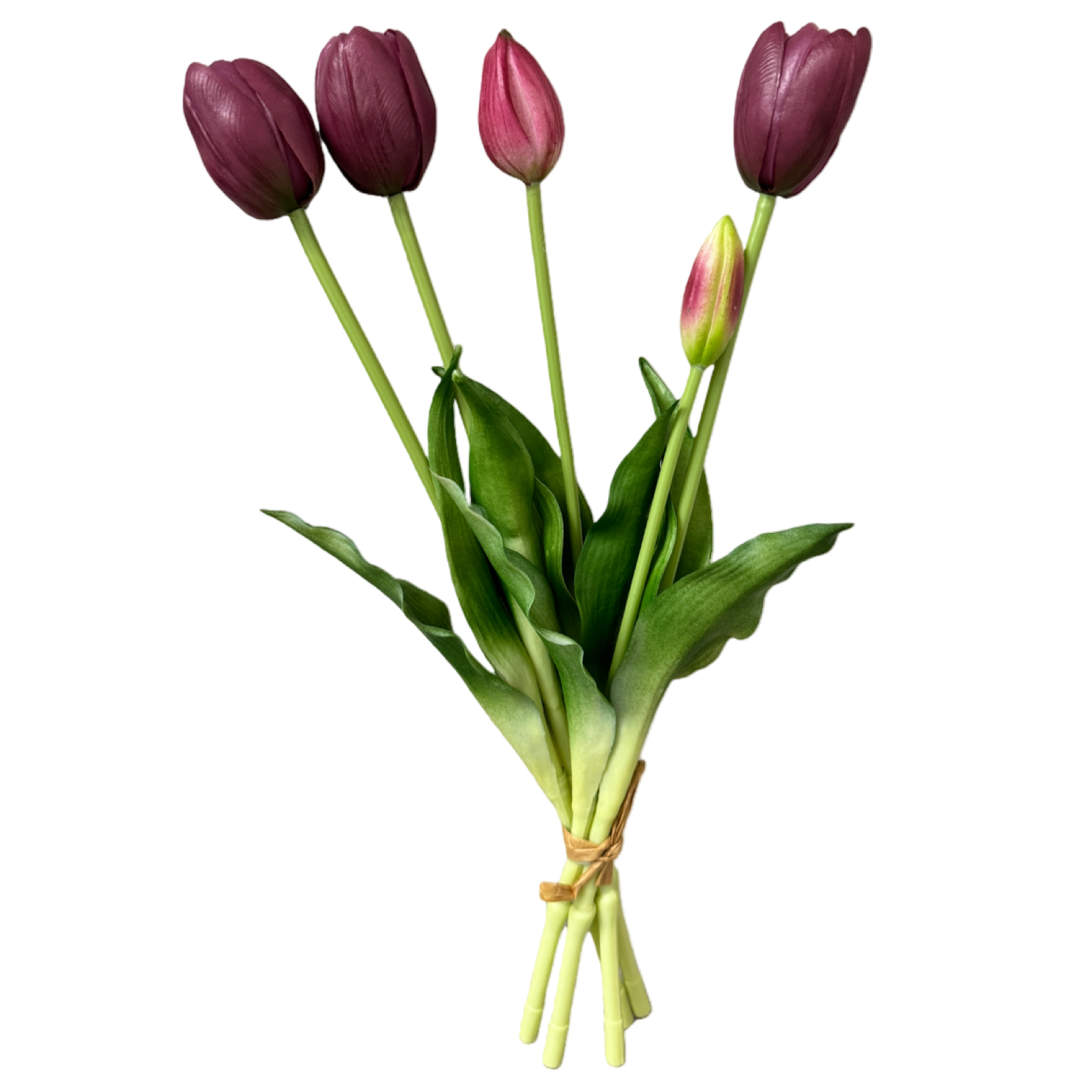 Bouquet of purple tulips with green leaves on a white background