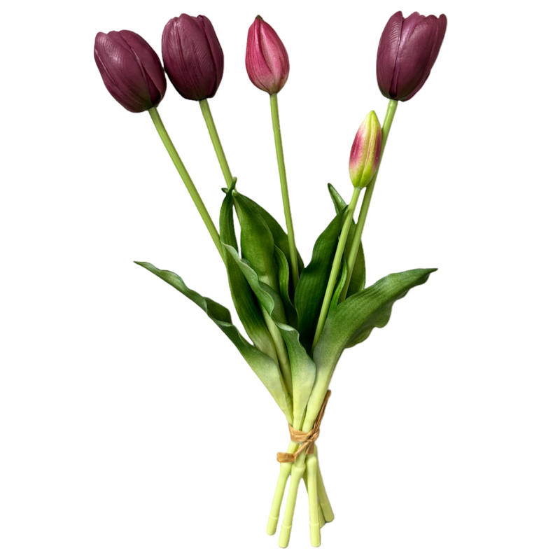 Bouquet of purple tulips with green leaves on a white background