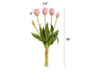 Bouquet of pink tulips with measurements on a white background