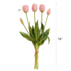 Bouquet of pink tulips with measurements on a white background