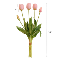 Bouquet of pink tulips with measurements on a white background
