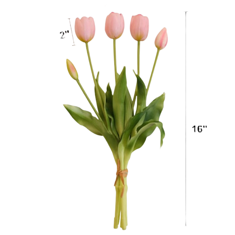 Bouquet of pink tulips with measurements on a white background