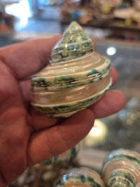 A hand holding a spiral seashell with a glossy finish, decorated with green and white patterns, with other similar shells blurred in the background.