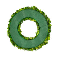 preserved boxwood 16" door wreath