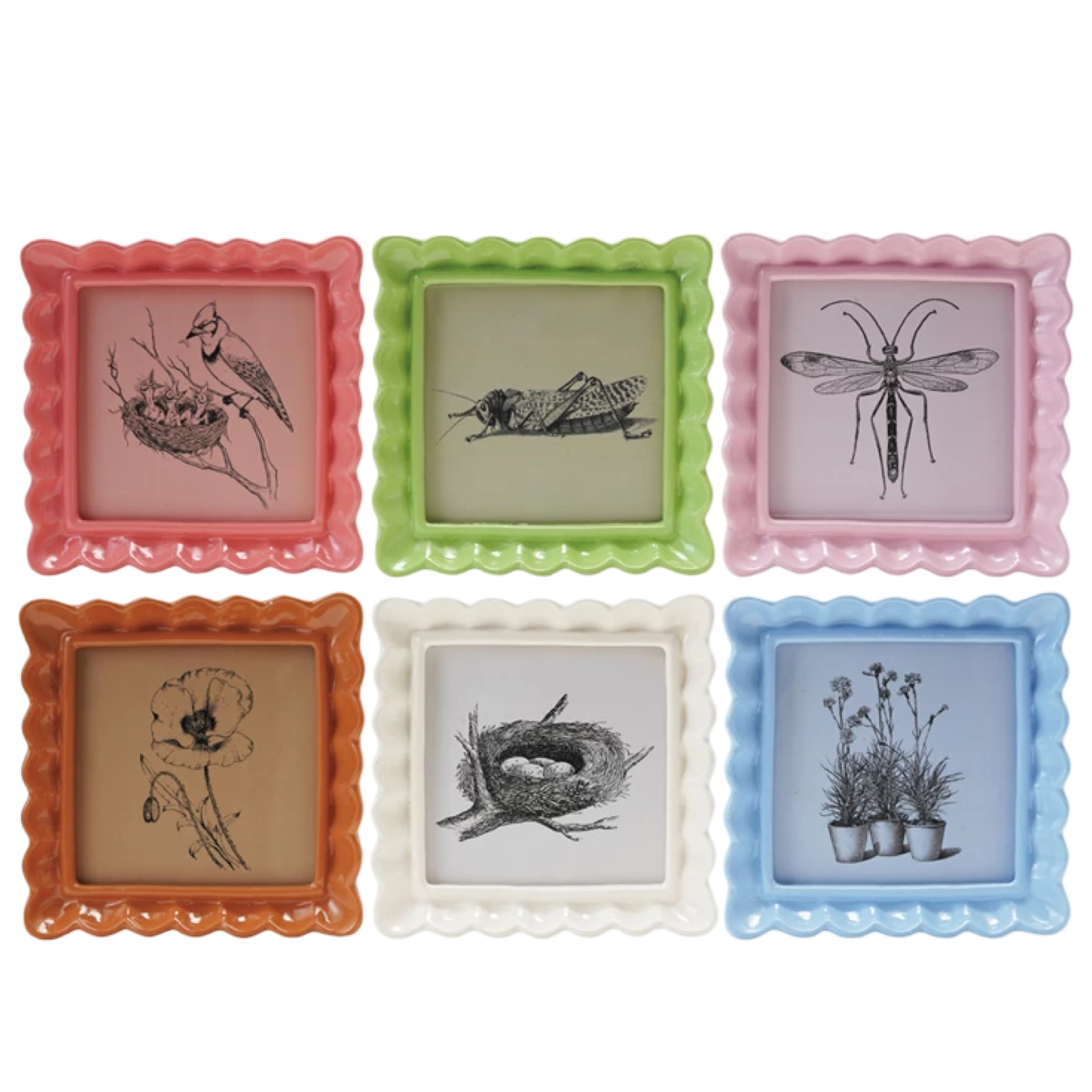 Set of six colorful picture frames with nature-themed illustrations on a white background