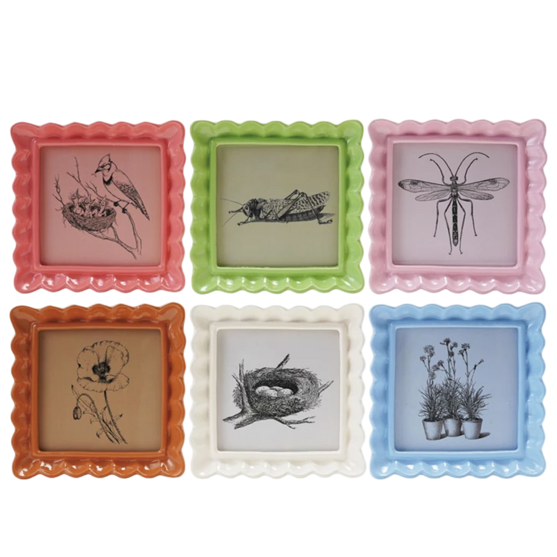 Set of six colorful picture frames with nature-themed illustrations on a white background