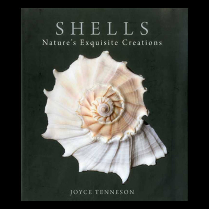 Book cover of 'Shells: Nature's Exquisite Creations' by Joyce Tenneson with a large shell illustration on a dark background.