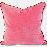 Furbish Large Velvet Pillow - light pink + rust - with insert