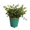 turquoise metal cachepot, 4 inch round planter, Mattie turquoise planter, small metal flower pot, colorful indoor cachepot, chic storage container, utensil holder planter, durable decorative planter, metal herb pot, pop of color home accent