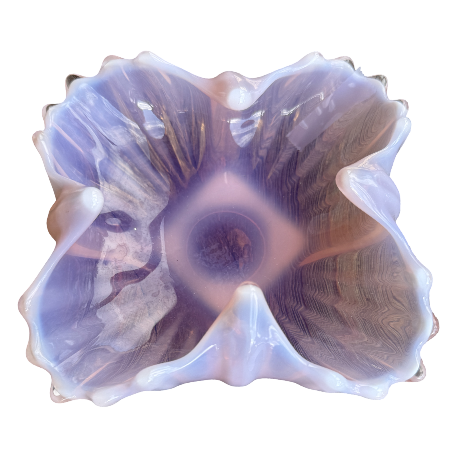 Close-up of a large shell with intricate patterns on a white background