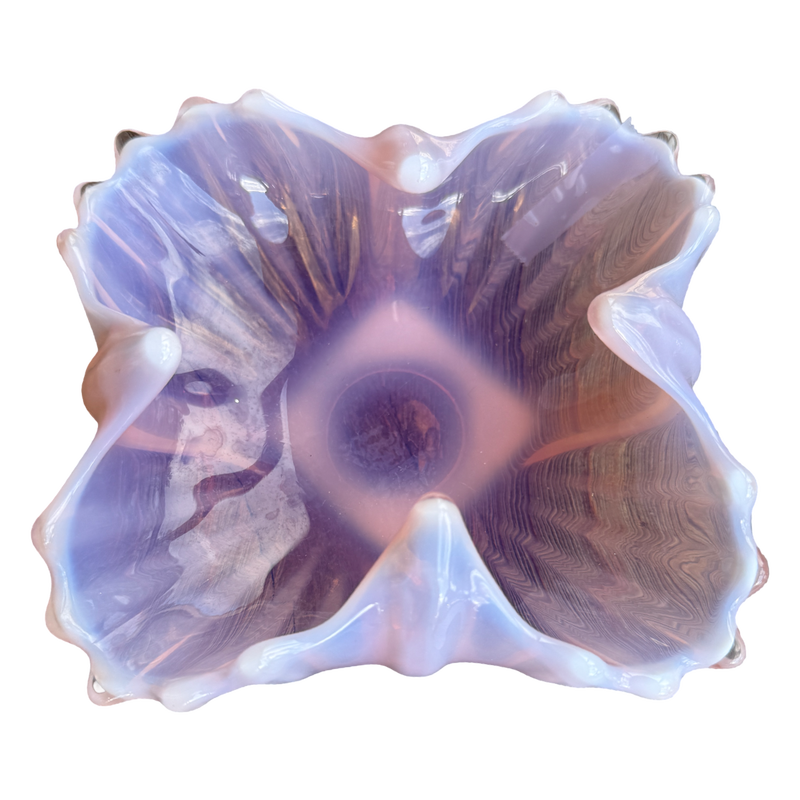 Close-up of a large shell with intricate patterns on a white background