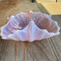 Large seashell leaning against a textured wall