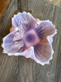 Large shell on a wooden surface