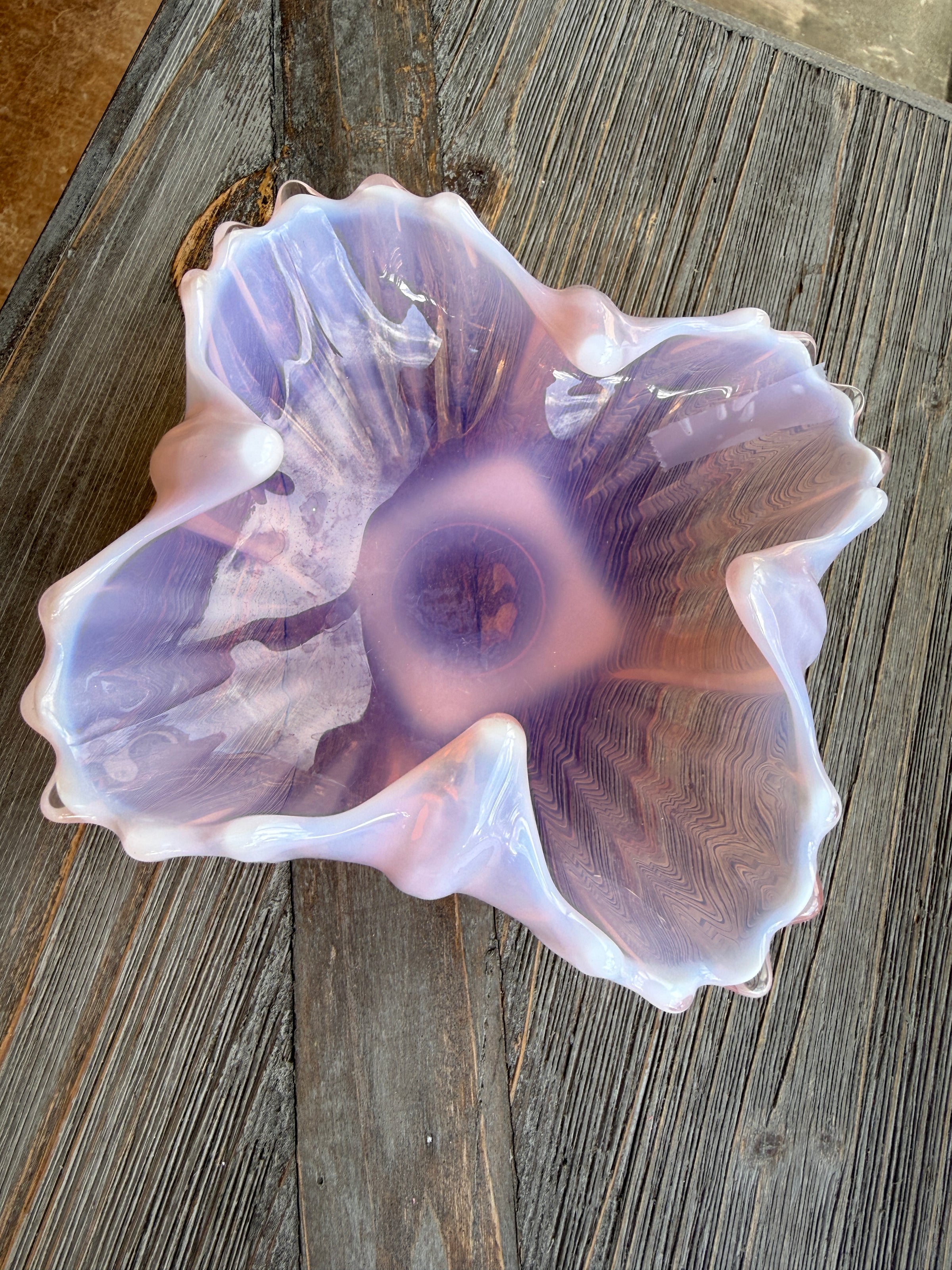 Large shell on a wooden surface