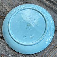 Light blue ceramic plate on a wooden surface